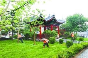 人行道树池图片资料下载-北京平安大街亮出“树池景观线”