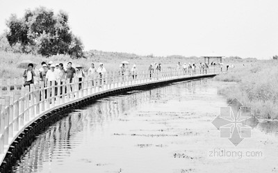 湿地公园浮桥资料下载-华夏东极黑瞎子岛：建设全岛开放的国际旅游岛