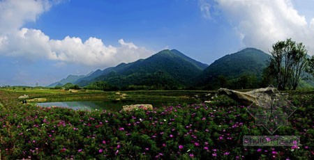 红池坝风景区夏季图片