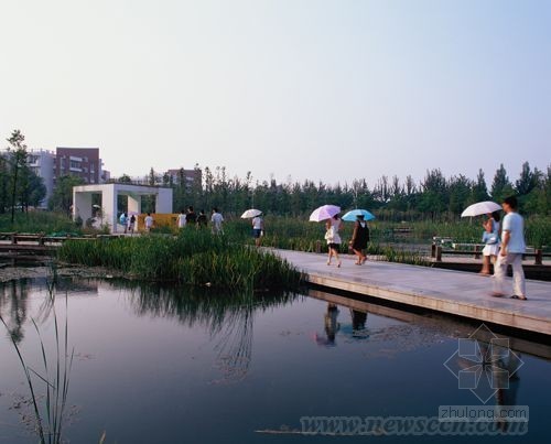 滨水景观水生植物设计资料下载-郑州大学：城市滨水与乡土景观应用