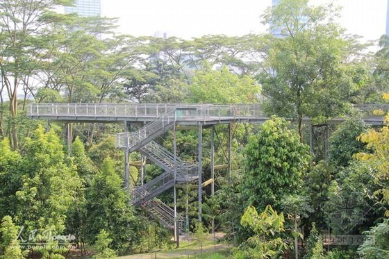共建屋顶绿化资料下载-新加坡：花园城市精心营造