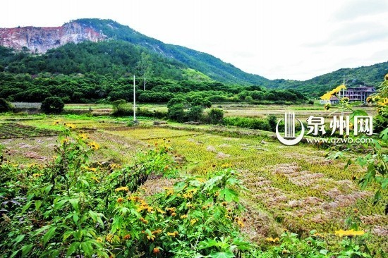 城市滨海公园资料下载-泉州将成为国家生态园林城市