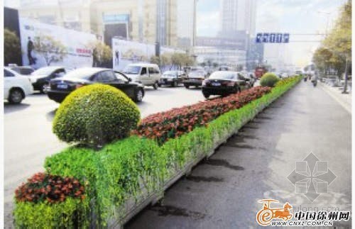 商业隔离带资料下载-徐州淮海路隔离带景观提升工程下月开工