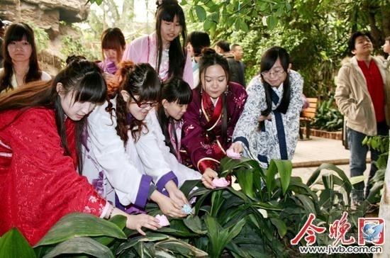 上海植物园热带植物资料下载-天津热带植物园举办汉代花朝节