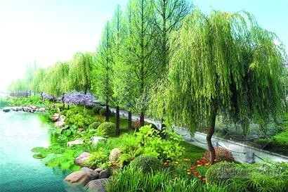 河道生态绿化景观设计图资料下载-青岛6.5公里河道景观综合整治全面启动