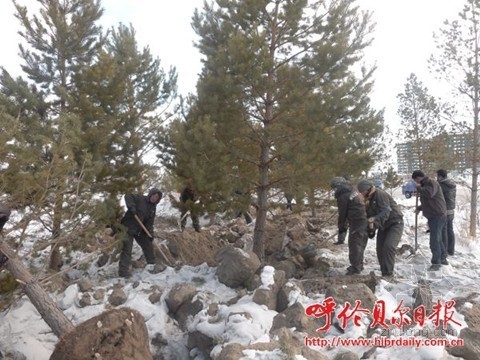 空地绿化景观资料下载-呼伦贝尔海拉尔区争先营造北方山水森林城市