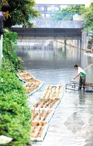 河道生态绿化景观设计图资料下载-晋江投放生态浮岛 内河上建绿化景观带