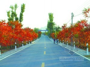 北京道路两侧绿化图资料下载-北京启动道路两侧绿化工程 因地制宜景色多变