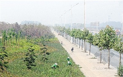 农业生态产业园规划资料下载-郑州十里生态廊 每平方米造价200元