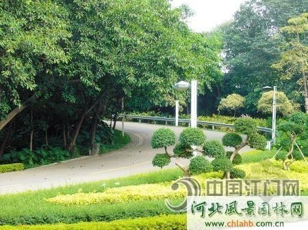 美丽乡村生态绿色小游园资料下载-江门市启动“增色添彩”工程