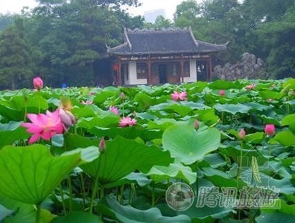 南京明发珍珠泉大酒店资料下载-端午佳节南京景区待客突破百万人次