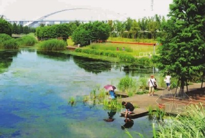 上海后滩湿地公园su资料下载-2010上海世博后滩公园对外免费开放