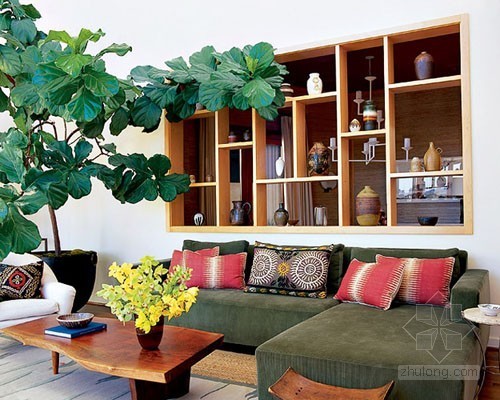 绿色室内植物资料下载-绿色植物家居室内设计
