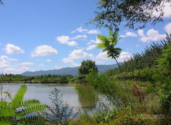 湿地公园园林绿化图片资料下载-北京翠湖国家城市湿地公园二期明年开放