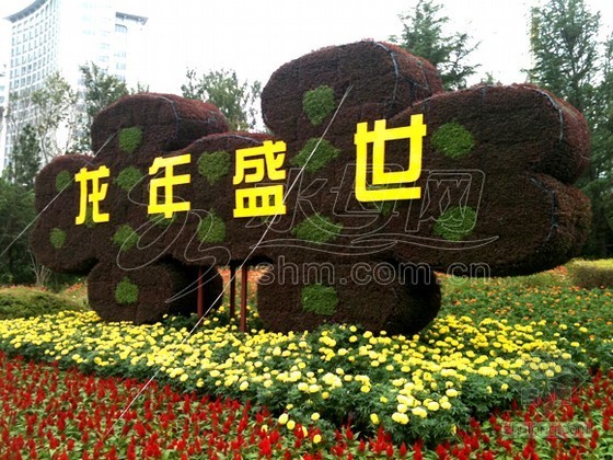 天安门国庆花坛植物资料下载-山东烟台建大型植物景观为城市点睛