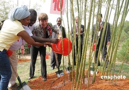 工程建设qc活动方案资料下载-第七届中国竹文化节即将在宜兴举行
