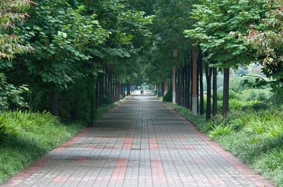 城市中心区城市合计资料下载-洛阳积极改善城市生态环境 建设宜居山水城市