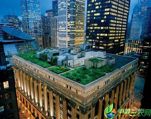 2020杭州建筑科技成果资料下载-杭州：“世界屋顶绿化奥运会”开幕