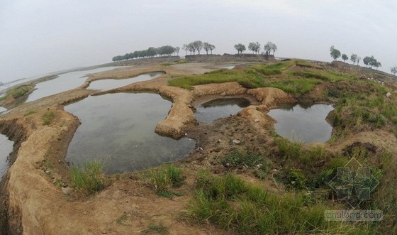 湿地保护与利用资料下载-中国加强湿地保护 为候鸟打造迁徙“绿色通道”