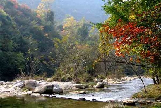 齐鲁文化生态湿地资料下载-山东高密市综合治理五龙河 打造生态湿地公园