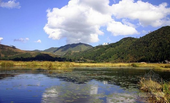 湿地保护与利用资料下载-加强湿地保护和修复 建设美丽中国