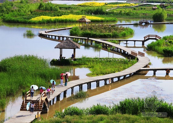 湿地生态建设资料下载-兰州滩尖子湿地生态修复工程启动