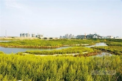 湖南社区公园资料下载-天津生态城将实施十项重点绿化景观工程