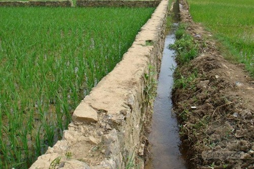 林业节水灌溉资料下载-我国研发新型灌溉技术 可节水治沙