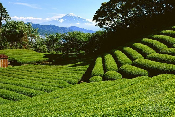 旅游景观大道资料下载-海口琼山区续建滨江新城 打造户外休闲景观大道等项目