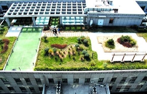 草坪屋顶绿化资料下载-山东推广屋顶绿化 城市绿岛效应初显