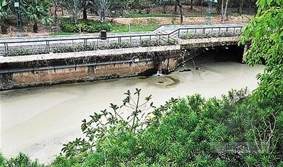 绿化排盐施工资料下载-盐田河变成牛奶河 施工单位偷排泥浆