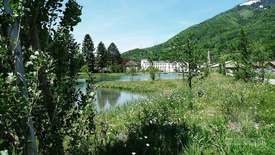 工厂种植设计资料下载-Beglinger和Bryan Landschafts architektur联合设计的下游工厂池塘