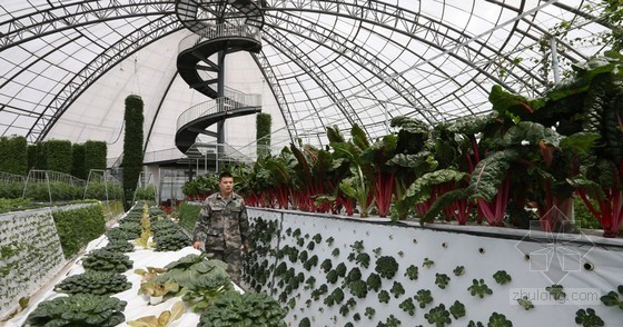 工厂保洁实施方案资料下载-国家863计划首次纳入智能化植物工厂项目