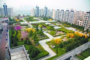 医院屋顶花园cad平面图资料下载-北京再添“空中花园” 今年将推进屋顶绿化面积15万平方米