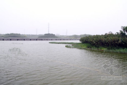 人工湿地尾水处理资料下载-天津生态湿地公园 人工湿地技术让污水更清