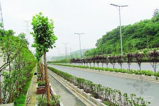 人行道道砖资料下载-南京惊见史上最窄人行道