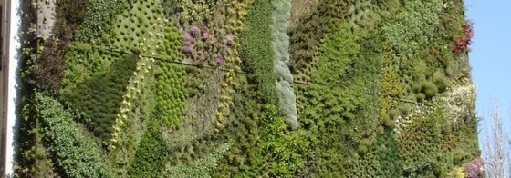 艺术花园墙资料下载-古巴比伦的空中花园垂直植生墙之旅