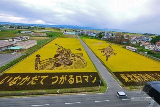 插画风格植物素材资料下载-日本田舍馆村村民设计的巨型稻田插画艺术