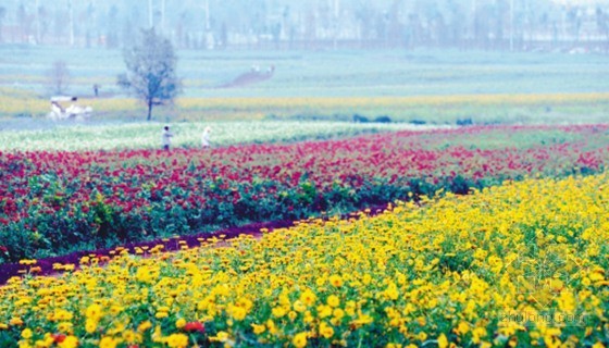 山花cad详图资料下载-浑南莫子山花开成海