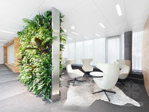 办公室绿植设计资料下载-极具现代气息的办公室设计 