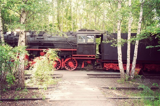 废弃场改造资料下载-德国废弃铁路改造的Südgelände自然公园