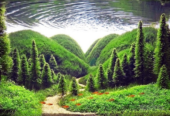 [分享]水族馆里梦幻般的森林景观