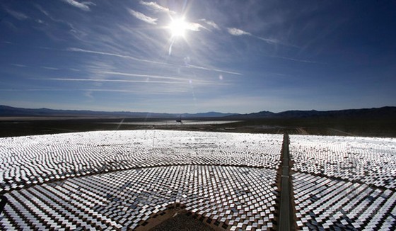 太阳能家庭光伏发电资料下载-世界最大太阳能发电站：鸟类死亡陷阱