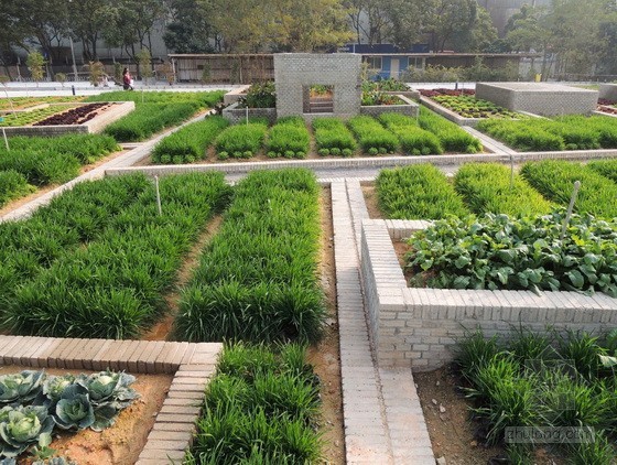 天台耕种试点:深圳价值农场-景观新闻-筑龙园林景观论坛