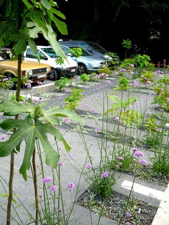 停车库花园资料下载-比利时实验性停车场花园