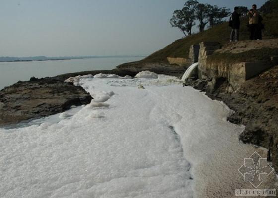 [分享]汙水處理廠成水汙染