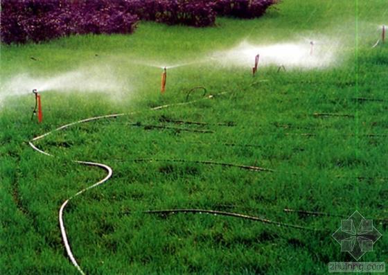 节水灌溉产品资料下载-节水灌溉创“新技”  精准度超过90%