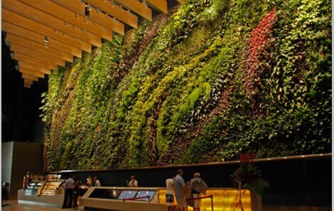 世界生态城市与屋顶绿化大会组委会新闻发布会在京召开-4.jpg