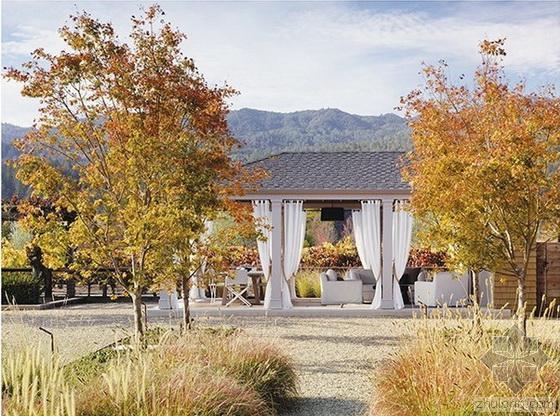 加州纳帕谷葡萄园的再设计资料下载-2014ASLA荣誉奖 加州纳帕谷葡萄园的再设计