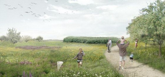 丹麦农业区成功转型成自然生态景观-自然的景观——Ringkøbing K